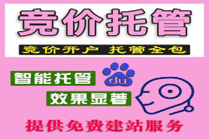 科技公司SEM推广的科技与创新